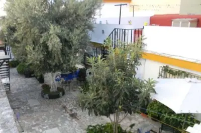 a courtyard with trees and plants next to a building at P Casa con Azotea privada y Céntrica. WiFi+Netflix in El Puerto de Santa María