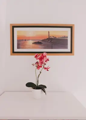 a flower in a vase on a wall with a picture at Miriam Costa de la luz 2 in Jerez de la Frontera