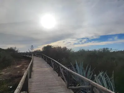 a wooden bridge over a field with the sun in the sky at Precioso bajo muy grande a 200 metros de playa in Chipiona