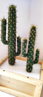 a group of cactus sitting on top of a shelf at Apartamento Plaza Toros in El Puerto de Santa María