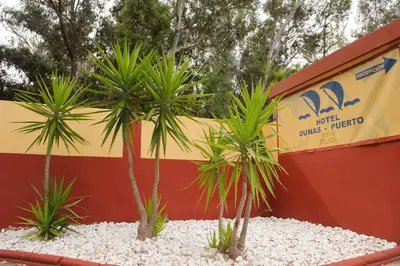a group of palm trees in front of a building at Hotel Dunas Puerto in El Puerto de Santa María