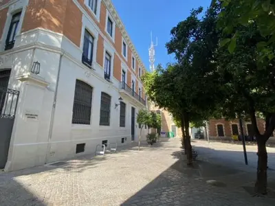 a building with a tree in front of a street at EL RINCON DE ELENA (CASCO HISTORICO) in Jerez de la Frontera