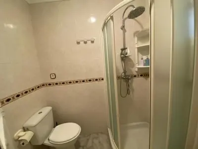 a bathroom with a shower and a toilet and a sink at EL RINCON DE ELENA (CASCO HISTORICO) in Jerez de la Frontera