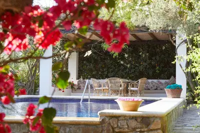 a patio with chairs and a swimming pool with red flowers at Hacienda de San Rafael in Las Cabezas de San Juan