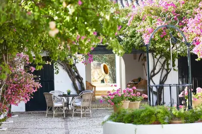 a patio with a table and chairs and flowers at Hacienda de San Rafael in Las Cabezas de San Juan