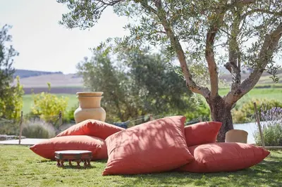 a group of pillows on the grass next to a tree at Hacienda de San Rafael in Las Cabezas de San Juan