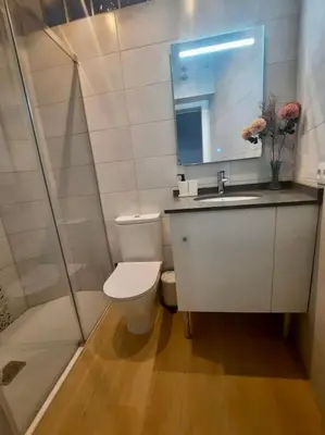 a bathroom with a shower and a toilet and a sink at El rincón de Manolita. #2 in Bornos