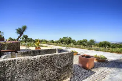 a stone wall with potted plants on a sidewalk at Retiros Los Agustinos in Arcos de la Frontera