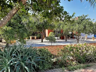 a park with trees and plants and a brick wall at Finca La Parrilla Maison Piscine nature chevaux in Arcos de la Frontera