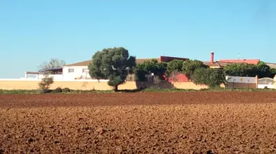 a field with a farm in the background at Studio andalou , campagne , chevaux , piscine commune in Arcos de la Frontera