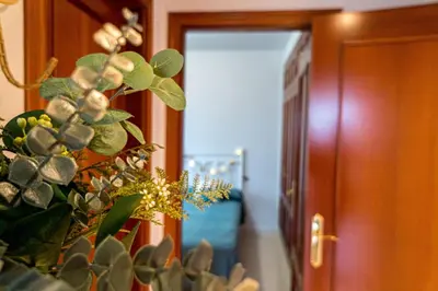 a plant in front of a hallway with a door at R&B Vistahermosa Views in El Puerto de Santa María