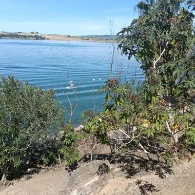 a view of a body of water with trees at RURAL VILLA ANGELS in Arcos de la Frontera