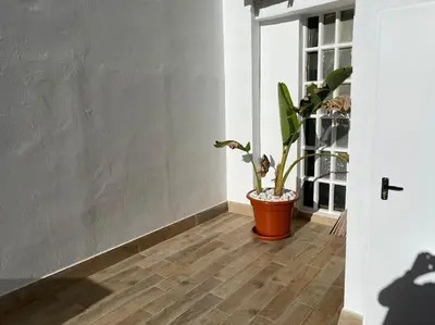 a potted plant sitting on a wooden floor in a room at Precioso apartamento con patio/terraza Zona centro in Jerez de la Frontera