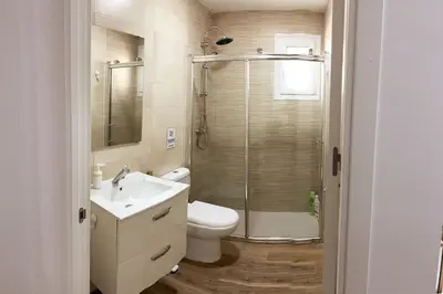 a bathroom with a shower and a toilet and a sink at Precioso apartamento con patio/terraza Zona centro in Jerez de la Frontera