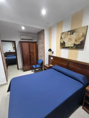 a bedroom with a blue bed with a painting of roses at Hotel Nova Centro in Jerez de la Frontera