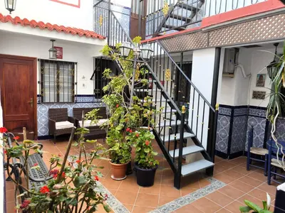 a staircase in a house with potted plants at Hotel Nova Centro in Jerez de la Frontera