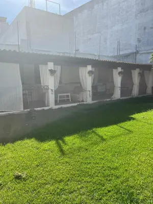 a white building with a grassy yard in front of it at Jardin Bizcocheros in Jerez de la Frontera