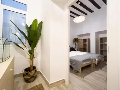 a bedroom with a bed and a potted plant at El Destino Corazón de Cádiz Grupo AC Gestion in Cádiz