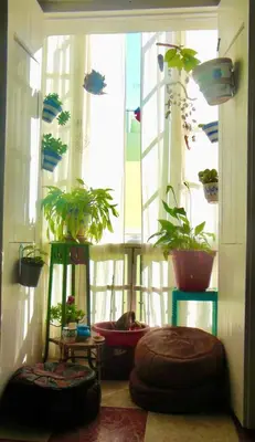 a room with a window with potted plants in it at Habitaciones La Pepa in Cádiz
