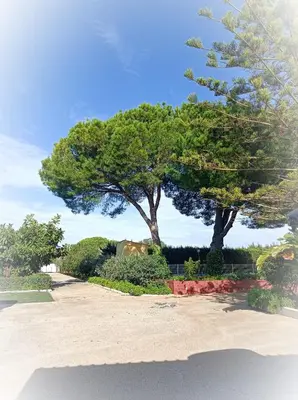 a couple of trees in a park with a sidewalk at Casa con Piscina Privada y Barbacoa en Chiclana Capacidad hasta 10 personas in Chiclana de la Frontera