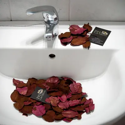 a white sink with a bunch of flowers in it at Hotel Los Olivos in Arcos de la Frontera