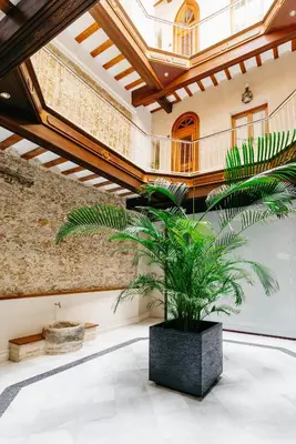 a palm plant in a room with a ceiling at innCádizPalacio Apolo in Cádiz