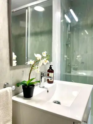 a bathroom with a sink with a mirror and a plant at GATU Villa Sol, junto a la playa , piscina, 2 baños, aire cc, terraza, 