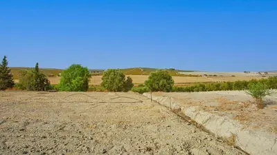a dirt road with trees and a field in the background at Casa Rural Viña Romanito Jerez de la Frontera by Ruralidays in Jerez de la Frontera