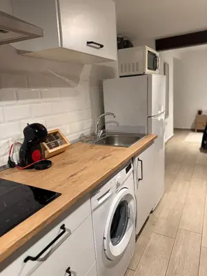 a kitchen with a sink and a washing machine at La Faraona in Jerez de la Frontera