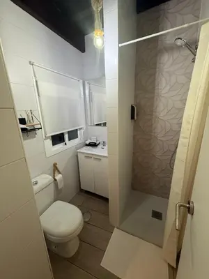 a small bathroom with a toilet and a shower at La Faraona in Jerez de la Frontera
