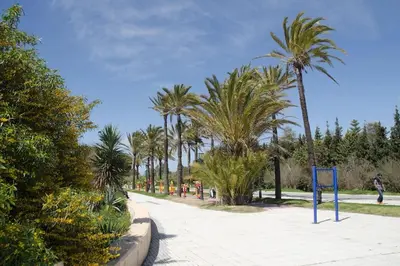 a walkway with palm trees and a blue sign at Apartamento Paola in El Puerto de Santa María