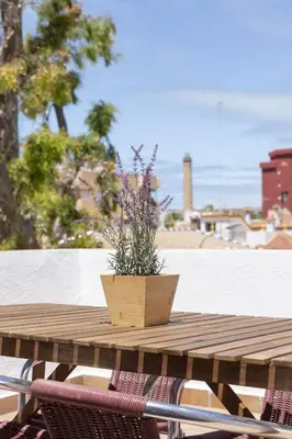 a potted plant sitting on top of a table at Luminoso y amplio piso en Chipiona. 5. in Chipiona