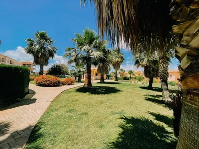 a park with palm trees and a walkway at Mika's House Lite in Sanlúcar de Barrameda