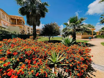 a garden of flowers in a park with palm trees at Mika's House Lite in Sanlúcar de Barrameda