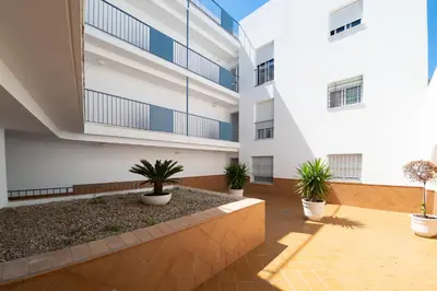 a courtyard in a building with potted plants at Piso SieteRevueltas in Sanlúcar de Barrameda