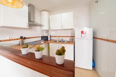 a kitchen with white cabinets and a counter with potted plants at Piso SieteRevueltas in Sanlúcar de Barrameda