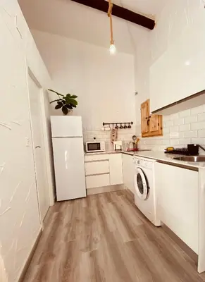 a kitchen with a white refrigerator and a dishwasher at Suite San Mateos 15 in Jerez de la Frontera