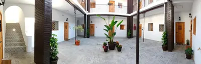 a hallway with potted plants in a building at Suite San Mateos 15 in Jerez de la Frontera