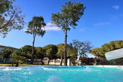 a swimming pool with trees in the background at Hacienda Laguna Seca - Apart. Jazmin in Chiclana de la Frontera