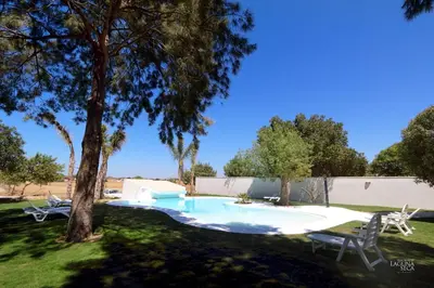a swimming pool in a yard with a tree at Hacienda Laguna Seca - Apart. Jazmin in Chiclana de la Frontera