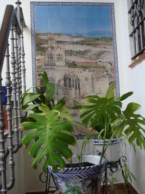 a painting on the wall with plants in front of it at Hotel El Convento in Arcos de la Frontera