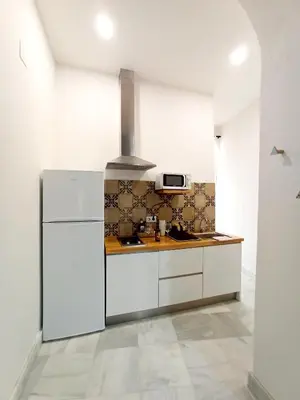 a kitchen with a white refrigerator and a stove at Apartamentos La Higuera by VGH in Jerez de la Frontera