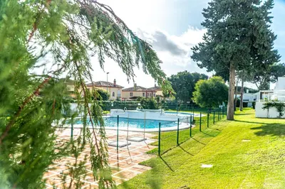 a swimming pool in a yard with a tree at Vistahermosa Palm in El Puerto de Santa María
