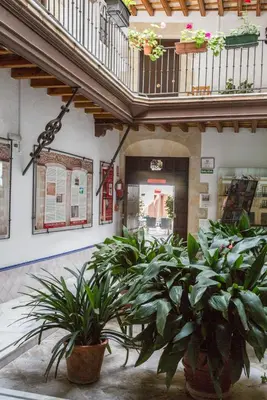 a group of potted plants in front of a store at Casa Palacio de los Leones in El Puerto de Santa María