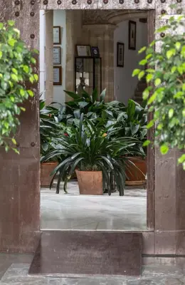 a group of plants sitting in a doorway at Casa Palacio de los Leones in El Puerto de Santa María