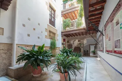a courtyard with potted plants in a building at Casa Palacio de los Leones in El Puerto de Santa María