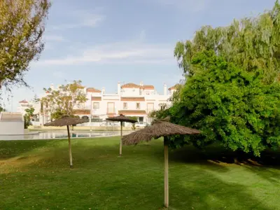 a group of umbrellas sitting in the grass at Aparta-club la Barrosa 116 in Chiclana de la Frontera