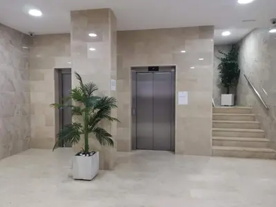 a lobby with a door and a palm tree in it at Estadio 3 in Cádiz
