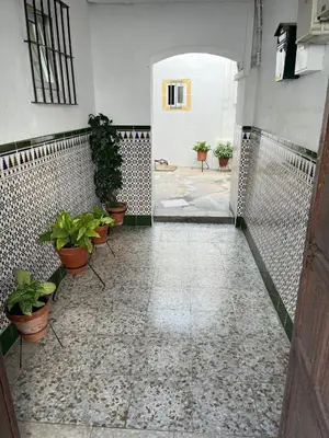 a hallway with potted plants in a building at Esencia de Arcos in Arcos de la Frontera