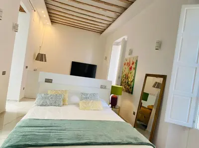 a bedroom with a bed and a television in it at inncadizcasa Señorial de Rivadavia in Cádiz